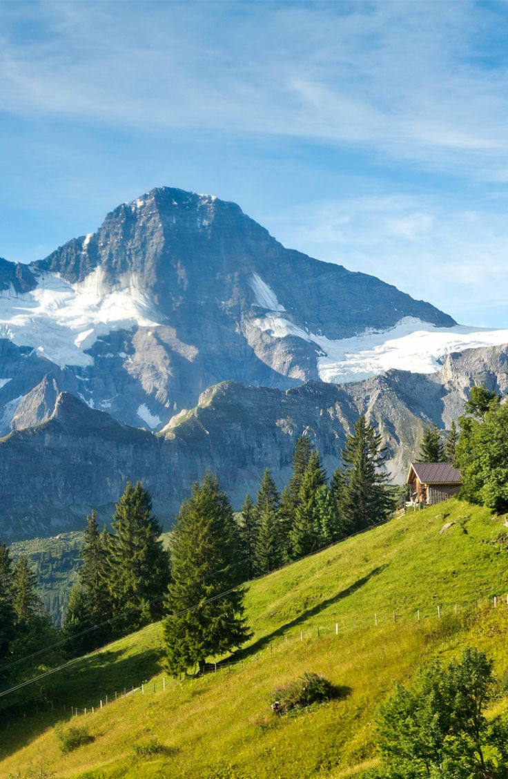 <em>Emma R., New York</em>